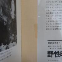 奇蹟 : 世界を震撼させる奇現象