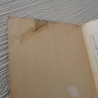 ソーニャ・コヴァレフスカヤ : 自伝と追想