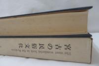 宮古の民俗文化