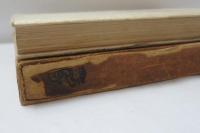 北支と南支の貌