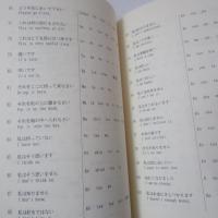 実用ミャオ語入門 : 基本文法・日常会話・語彙集(日本語-ミャオ語)