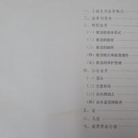 上海龍華盆景　　