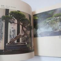 上海龍華盆景　　