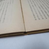 堺市北支産業視察団誌