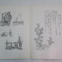 満州民俗図譜