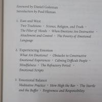 Emotional Awareness: Overcoming the Obstacles to Psychological Balance and Compassion