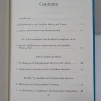 Psychotherapy and Buddhism: Toward an Integration