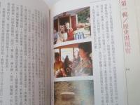 南瀛平埔誌