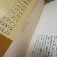 死の舞踏：恐怖についての10章　（ちくま文庫）