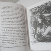 臺灣的原住民: 阿美族(アミ族)