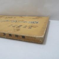 蒙古案内記 : 附大同石佛案内記