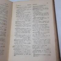 統計的研究各學年別 中學標準英單語