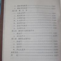 西藏節日文化（チベットの祭り文化）