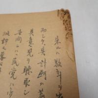 禹域参訪録