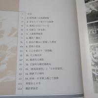 日军占领时期的上海　(日本軍占領時の上海)