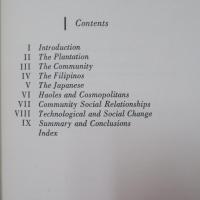 Pineapple Town: Hawaii 