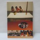 美術館を活用した鑑賞教育の充実のための指導者研修