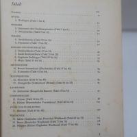 Schöne Hunde. Neue Folge