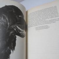 Schöne Hunde. Neue Folge