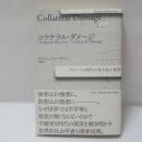 コラテラル・ダメージ : グローバル時代の巻き添え被害