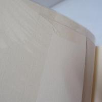 ペデルペスの足跡 日本近代詩史考