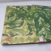 日本地理風俗大系　１５　台湾篇