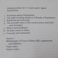 Culture, Identity, and Politics