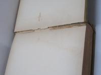 Kokoro: Hints and Echoes of Japanese Inner Life