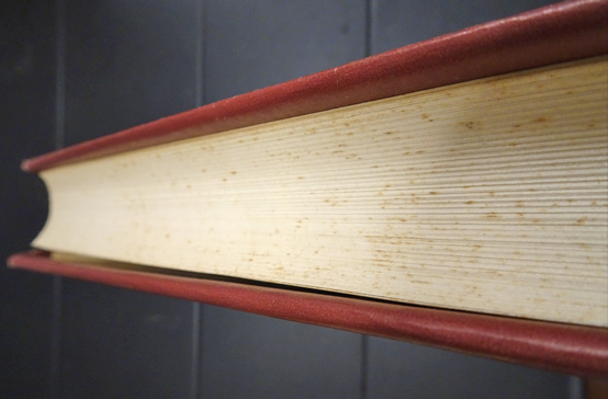 日本人形玩具辞典(斎藤良輔編) / フォルモサ書院 / 古本、中古本 日本人形玩具辞典(斎藤良輔編) / フォルモサ書院 / 古本、中古本