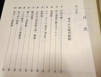 豪華客船の航跡