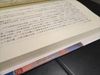 豪華客船の航跡