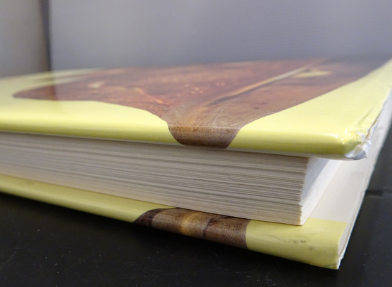 唐代金銀器(鎮江市博物館) / 古本、中古本、古書籍の通販は
