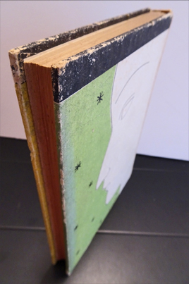 紀行世界図絵(柳澤健：文 藤田嗣治：絵) / 古本、中古本、古書籍
