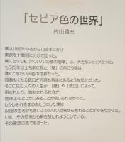 セピア色の世界　東欧の胎動1990～1995