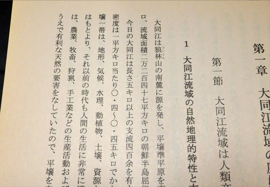 大同江文化(李淳鎮 他) / 古本、中古本、古書籍の通販は「日本の