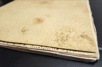 鳥の飛翔に関する手稿(レオナルド・ダ・ヴィンチ) / 古本、中古本、古