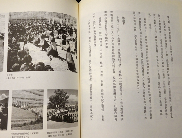 チベットとチベット人の肖像(陳宗烈) / 古本、中古本、古書籍の通販は