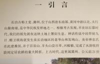 長治観音堂 明代彩塑