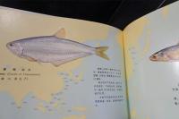 中国海洋魚類原色図集　第一集