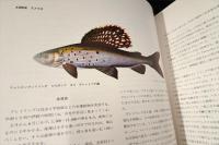 世界つり大観　海外篇