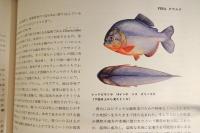 世界つり大観　海外篇