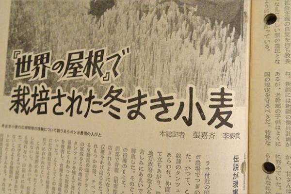 人民中国 1975 12冊(人民中国編集委員会) / 古本、中古本、古書籍の