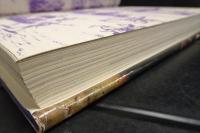 The Life and Times of Elizabeth I
