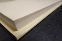 Equivocal Endings in Classic American Novels