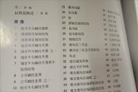晋国趙卿墓　(晋陽重大考古発現叢書)