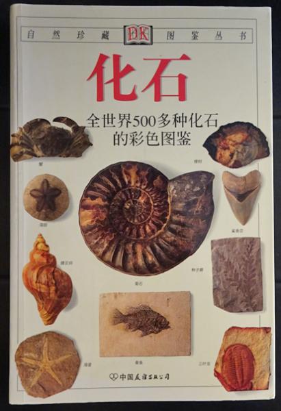 ≪超目玉★12月≫ 化石 (自然珍蔵図鑑叢書)(Cyril Walker他：著/谷祖鋼：他訳 政治学