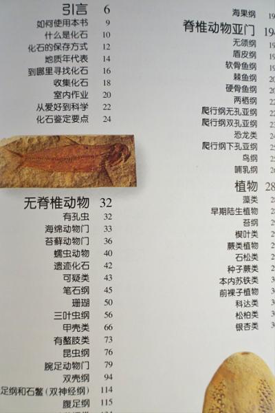 ◇J849 戦前/古書「貨幣寳鑑」昭和5 丸文商会本店 小川文夫 古銭