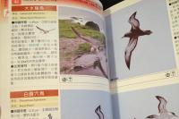 墾丁国家公園　鳥類図鑑