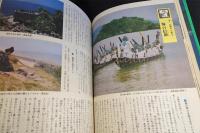 カラー　沖縄　ニライの海
