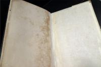 畜犬標準書